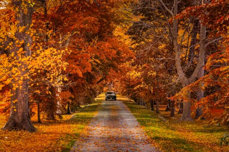 Best Day Trips From Toronto