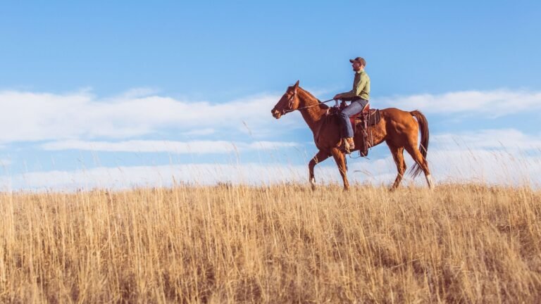 Mountain Sky Dude Ranch: Disconnecting in Montana