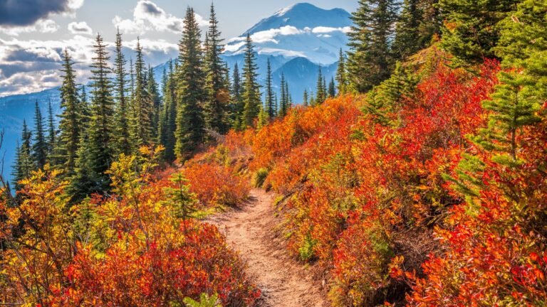 National Parks Fall Colors Calendar